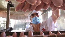 开元国际游戏app【集团】 - welcome