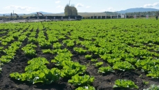 开元国际游戏app【集团】 - welcome