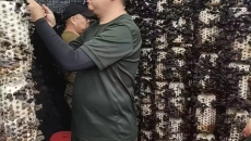 开元国际游戏app【集团】 - welcome