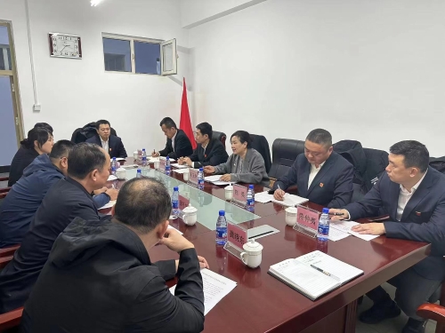 10.31双鸭山市劳动人事争议仲裁院到我公司走访调研