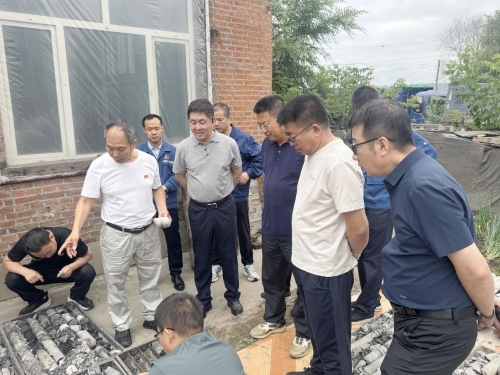 微信图片_20250718231444